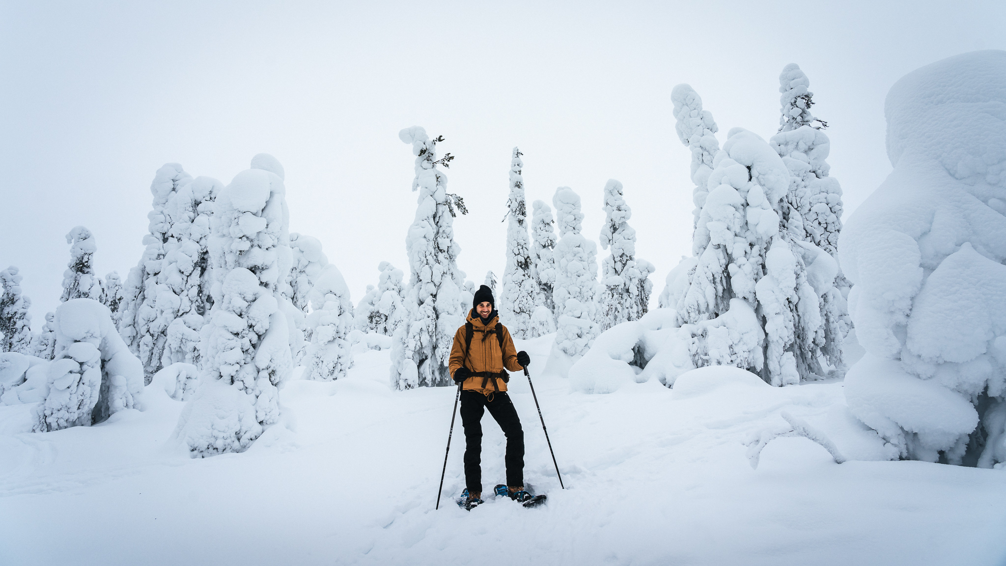 Pyhä Luosto Finnisch Lappland